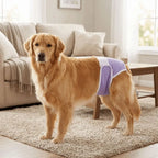 Reusable Dog Physiological Pants (Leak-Proof, Breathable, Adjustable)
