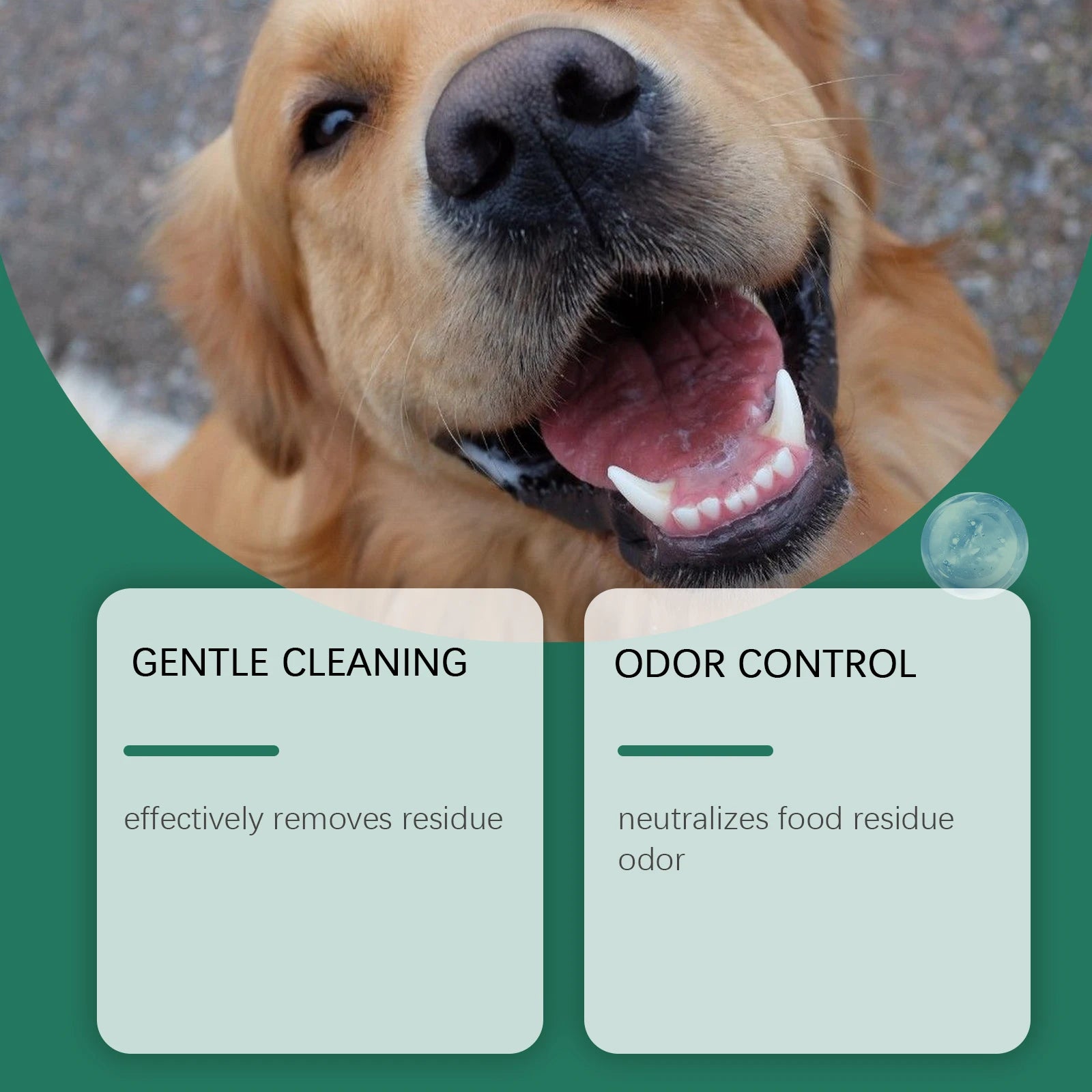 Pet Teeth Cleaning Powder — Reduces Tartar & Freshens Breath, 100g