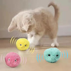 Interactive Squeaking Catnip Ball Toy