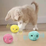 Interactive Squeaking Catnip Ball Toy