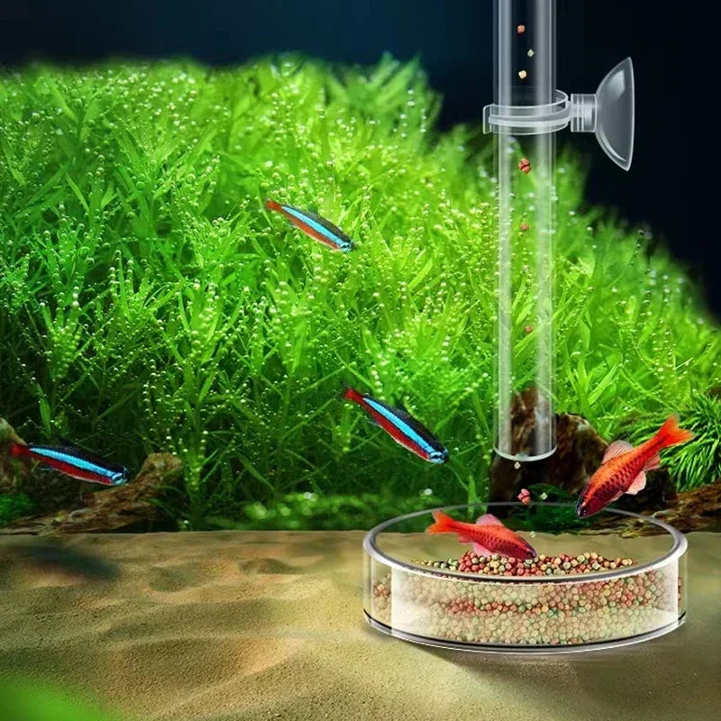 Acrylic Aquarium Shrimp Feeding Dish & Tube (Transparent, Snail & Shrimp)