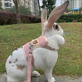 Padded Rabbit Harness & Leash Set — For Outdoor Walks