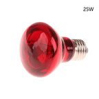 E27 Infrared Basking Bulb — Day & Night Heat Light, 25W–100W