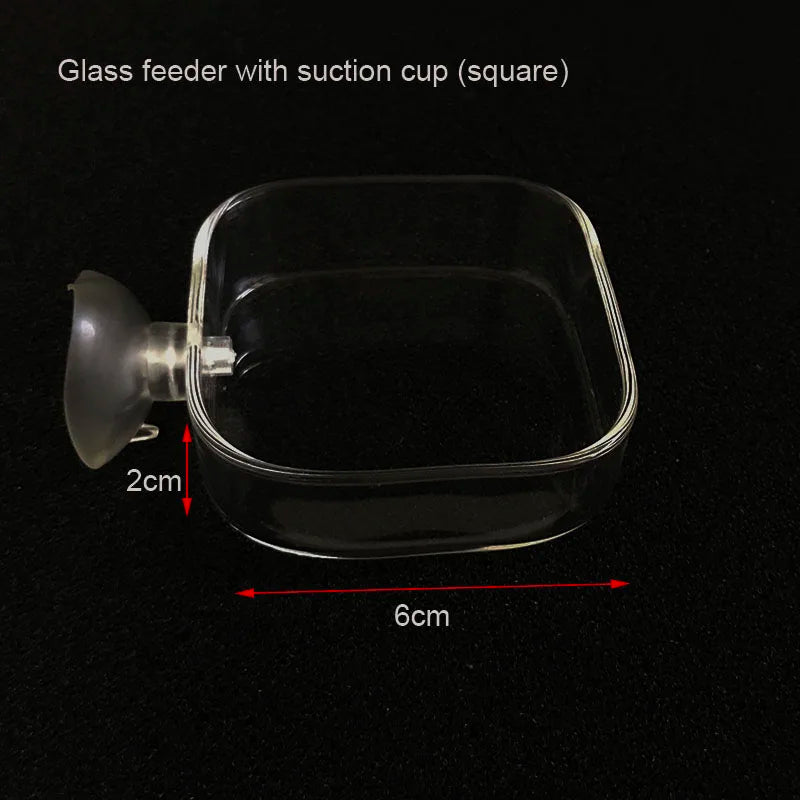 Glass Aquarium Shrimp Feeding Ring & Feeder Dish (Transparent, Floating, Bottom)