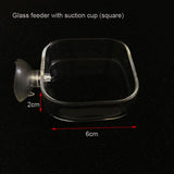Glass Aquarium Shrimp Feeding Ring & Feeder Dish (Transparent, Floating, Bottom)
