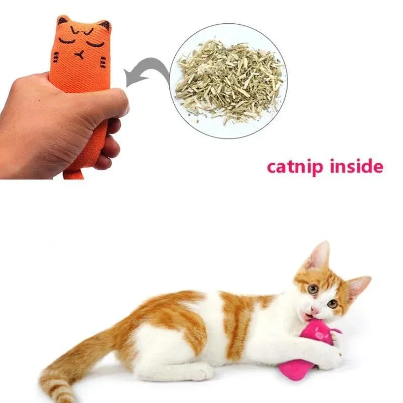Catnip Rustle Sound Plush Thumb Pillow Cat Toy — Teeth Grinding & Kitten Chew Toy