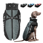 Waterproof Dog Jacket with Built-In Harness