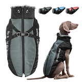Waterproof Dog Jacket with Built-In Harness