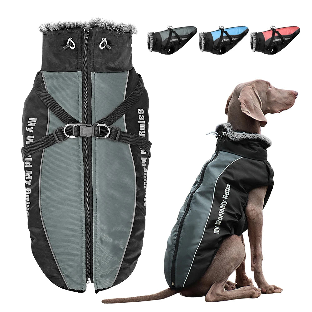 Waterproof Dog Jacket with Built-In Harness