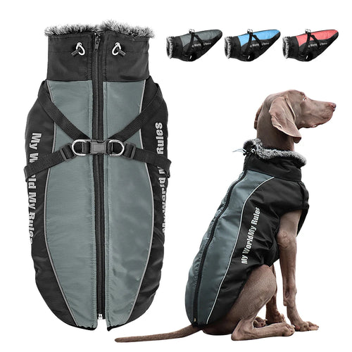 Waterproof Dog Jacket with Built-In Harness