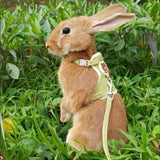 Padded Rabbit Harness & Leash Set — For Outdoor Walks