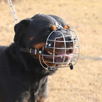 Metal Basket Dog Muzzle (Anti-Bite, Breathable, Easy Clean)