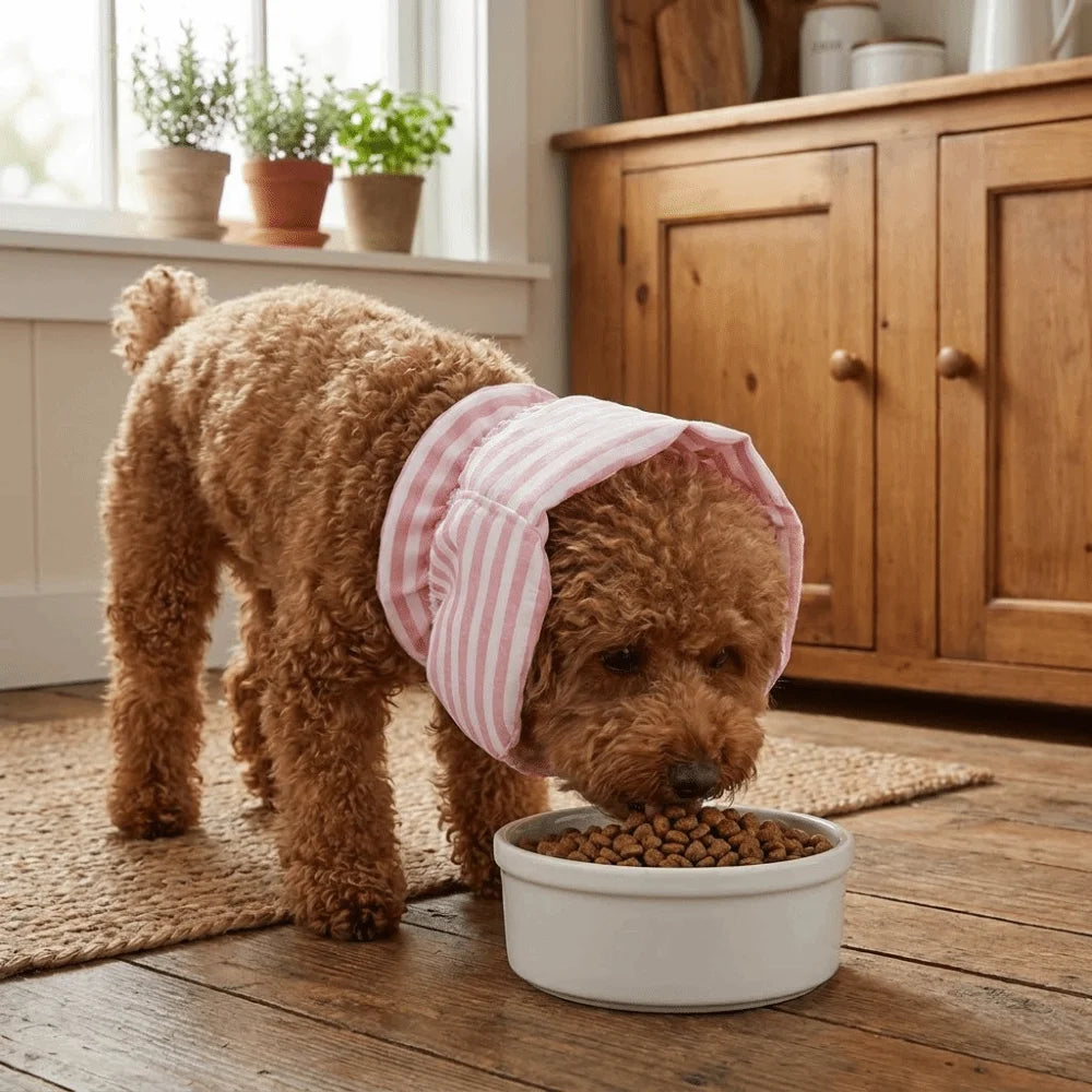 Dog Ear Muffs (Noise-Proof, Breathable, Adjustable, Neck Support)