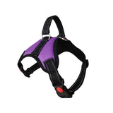 Adjustable Dog Harness & 150cm Leash Set — Reflective Design