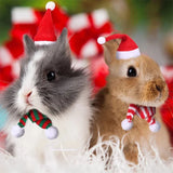 Christmas Santa Hat & Scarf Set — Mini Costume for Small Pets