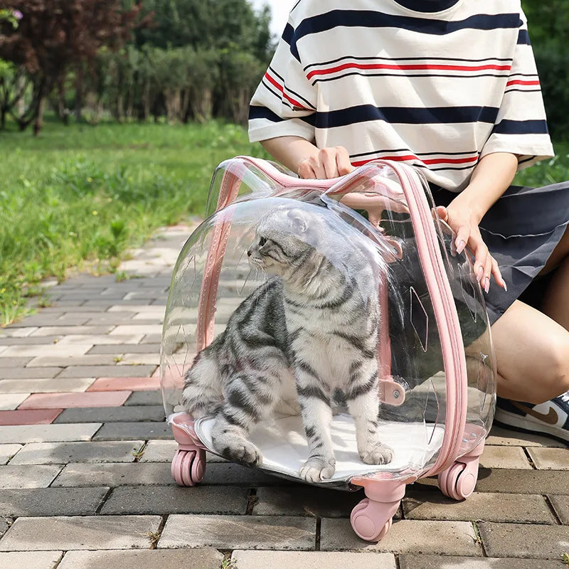 Fully Transparent Space Cabin Pet Trolley Case for Cats & Small Dogs