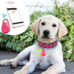 Portable Bluetooth 5.0 Smart Tracker for Pets - Plastic Mini Locator