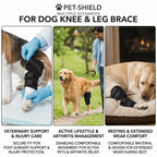 Dog Leg Recovery Sleeve (Breathable Texture, Flexible, Surgery Protection)
