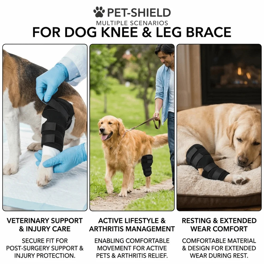 Dog Leg Recovery Sleeve (Breathable Texture, Flexible, Surgery Protection)
