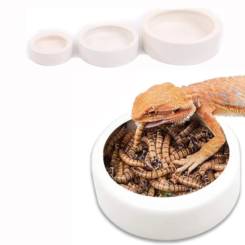 Anti-Escape Ceramic Feeder Dish — Worm-Proof Bowl for Geckos & Small Reptiles