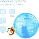 Hamster Exercise Ball — Clear 10cm Running Ball for Safe Free-Roam Play
