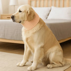 Soft Mesh Pet Recovery Collar (Breathable, Anti-Lick, XS to XXL)