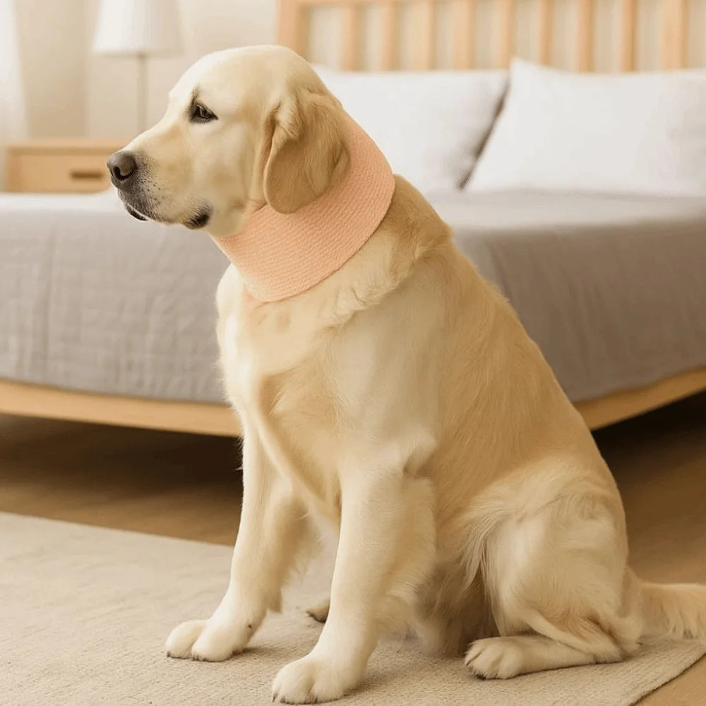 Soft Mesh Pet Recovery Collar (Breathable, Anti-Lick, XS to XXL)