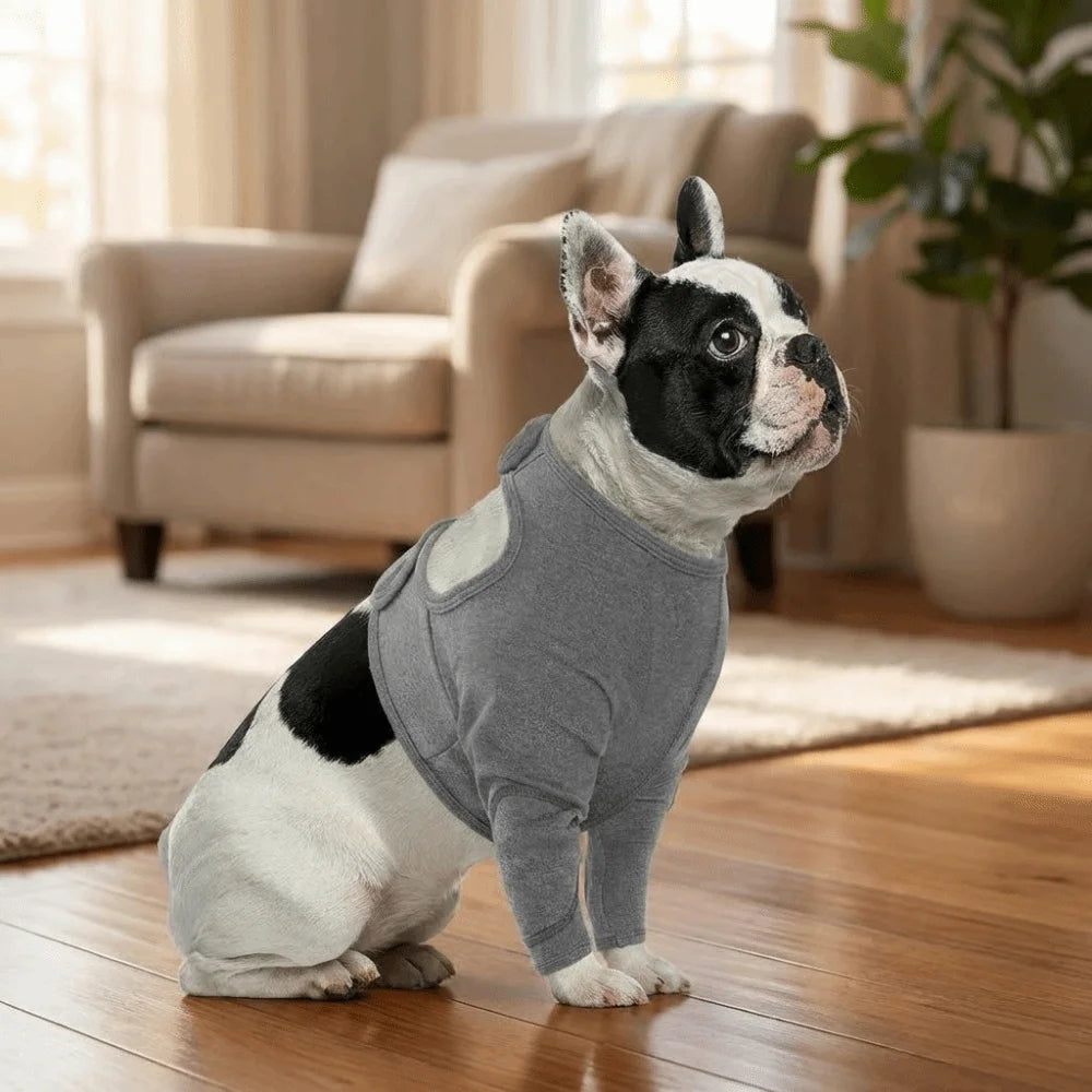 Dog Elbow Leg Sleeve Long (Anti-Lick, High Elasticity, S to 3XL)