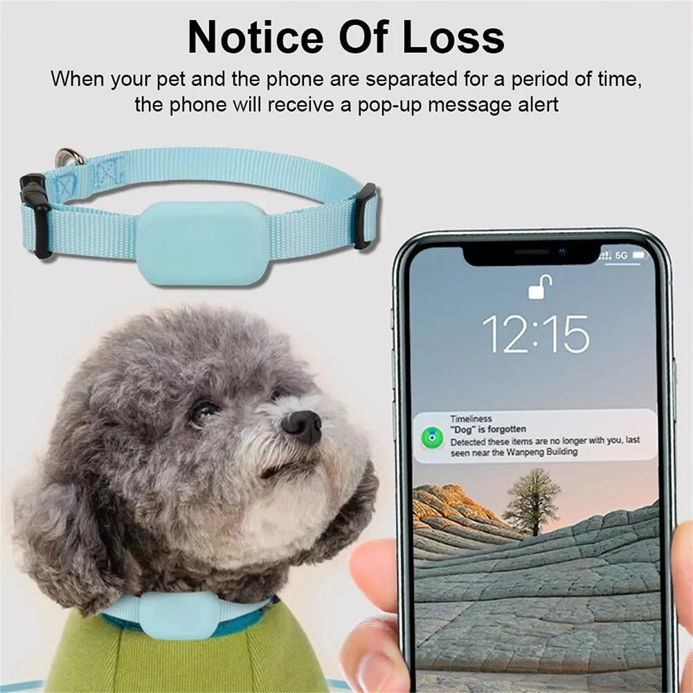 Battery-Powered Waterproof GPS Cat Tracker with Movement Alert - iOS & Android