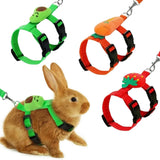 Small Pet Harness & Leash Set — Fun Fruit-Themed Design for 1-2kg Pets