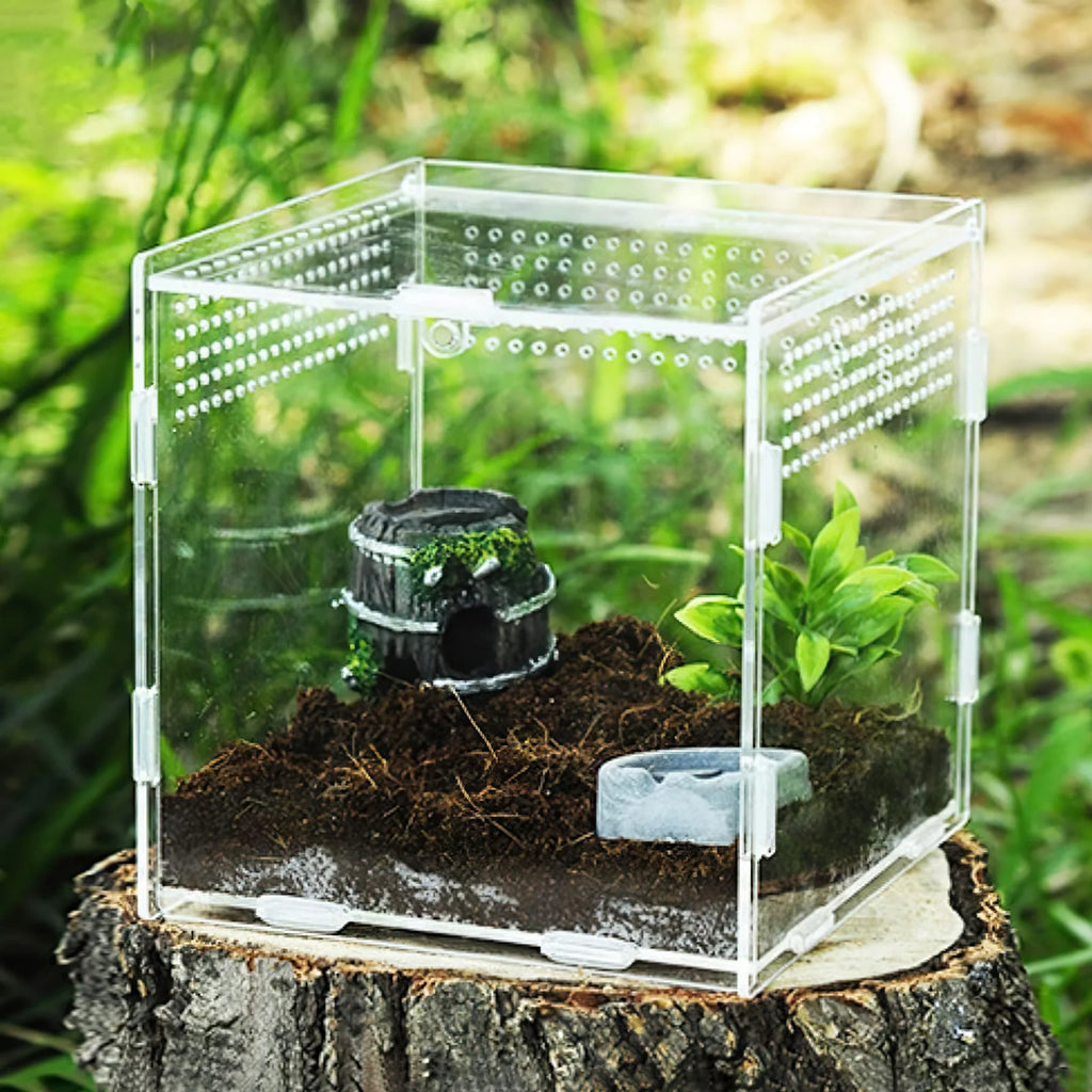 Stackable Acrylic Reptile Feeding Box — Buckle-Splicing Habitat for Small Pets