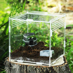 Stackable Acrylic Reptile Feeding Box — Buckle-Splicing Habitat for Small Pets