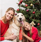 Christmas Pet Bow Tie Bandana 50-Pack (Dog & Cat Accessory)