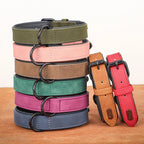 Padded Leather Dog Collar