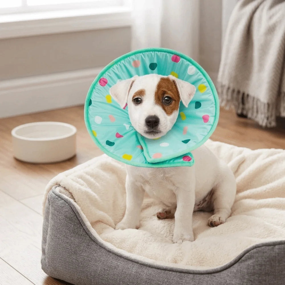 Sponge Padded Pet Recovery Ring (Polka Dot, Anti-Lick, Flexible Frame)