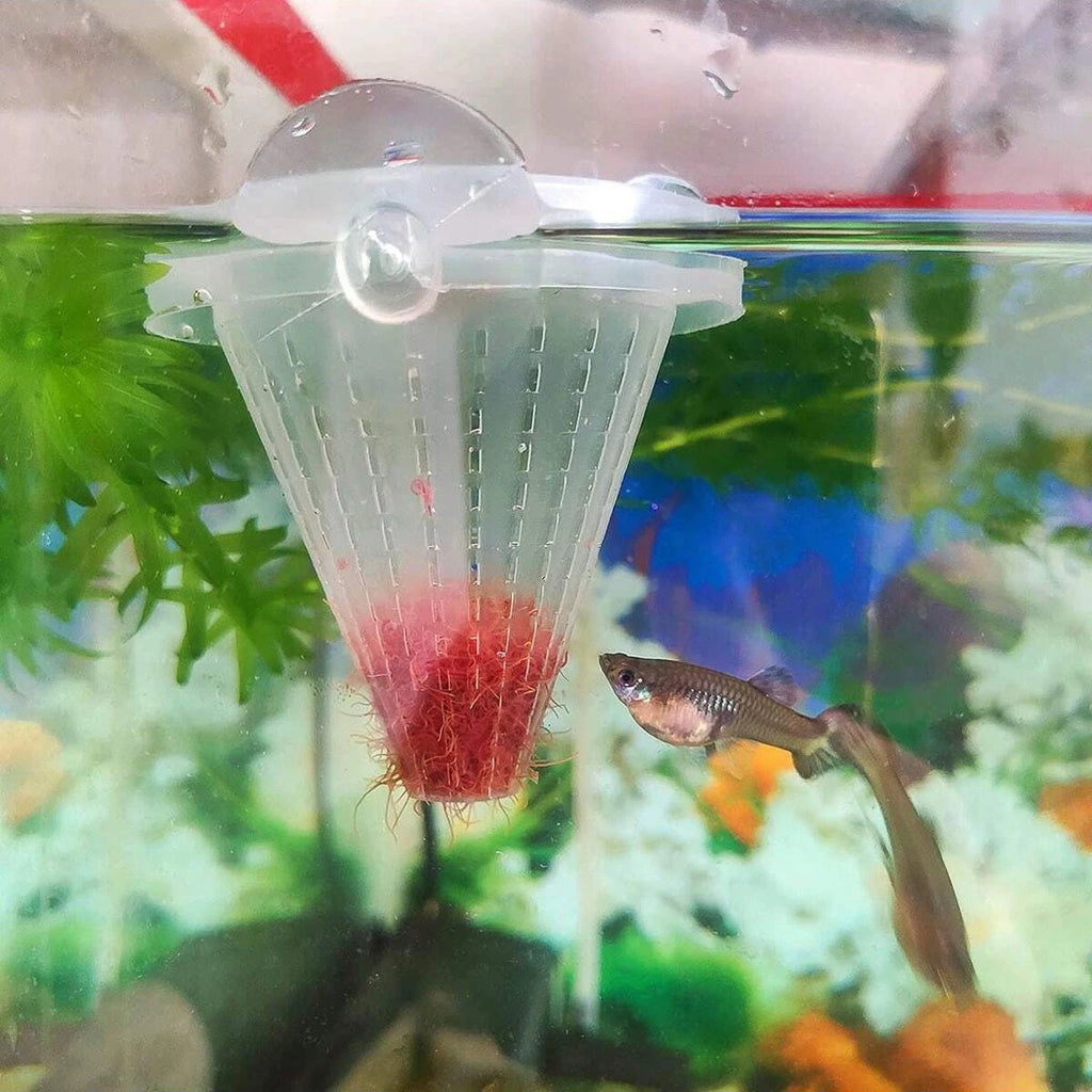 Aquarium Conical Feeder Cup for Live Worms & Nematodes 2-Pack