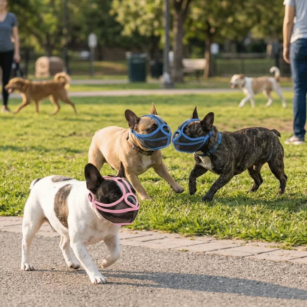 Short Snout Dog Muzzle for Bulldogs (Breathable, Adjustable, Anti-Scavenge)
