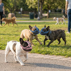 Short Snout Dog Muzzle for Bulldogs (Breathable, Adjustable, Anti-Scavenge)