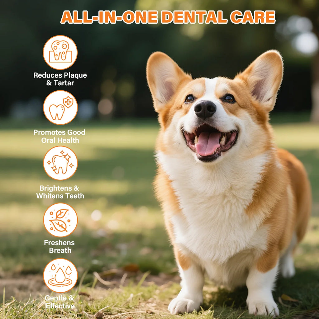 Probiotic Pet Dental Care Kit — Toothpaste, Brush & Finger Brush