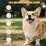 Probiotic Pet Dental Care Kit — Toothpaste, Brush & Finger Brush