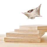 Wooden Cage Platform Set — Climbing Perch for Chinchillas & Small Pets