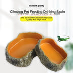 Resin Reptile Feeding & Water Bowl — Terrarium Dish for Reptiles & Amphibians