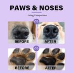 Natural Nose & Paw Balm for Dogs & Cats — Moisturizing, Licking-Safe Formula