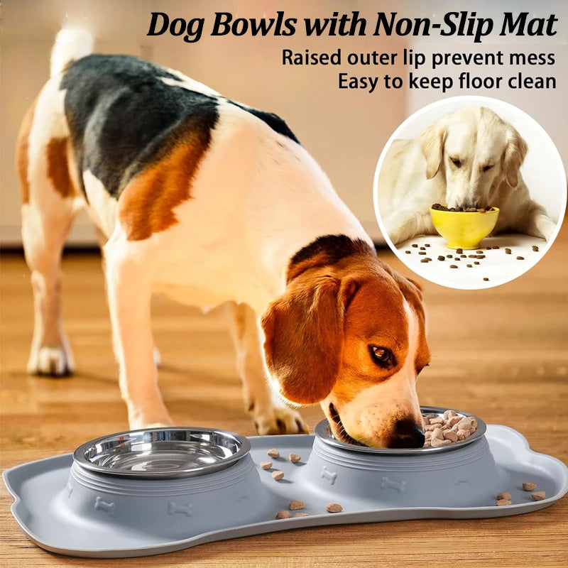 Stainless Steel Double Pet Bowl Set