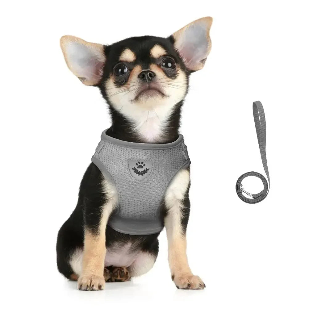 Reflective Escape-Proof Mesh Harness & Leash Set — For Cats & Small Dogs