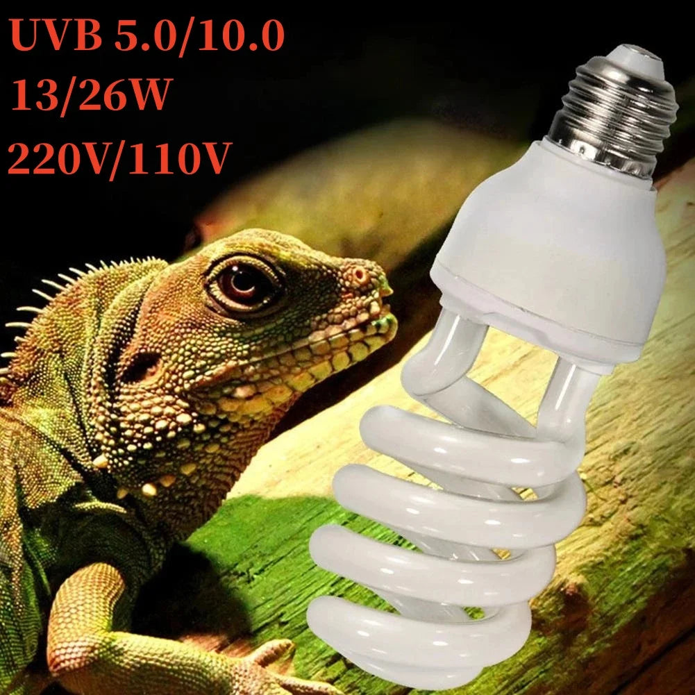 UVB Calcium Supplement Lamp — Energy-Saving E27 Bulb, 5.0 or 10.0