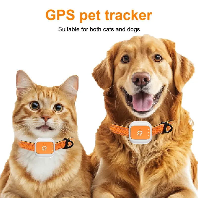Mini GPS Pet Tracker Collar with Movement Alerts for Dogs & Cats