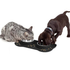 Stainless Steel Double Pet Bowl Set