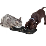 Stainless Steel Double Pet Bowl Set