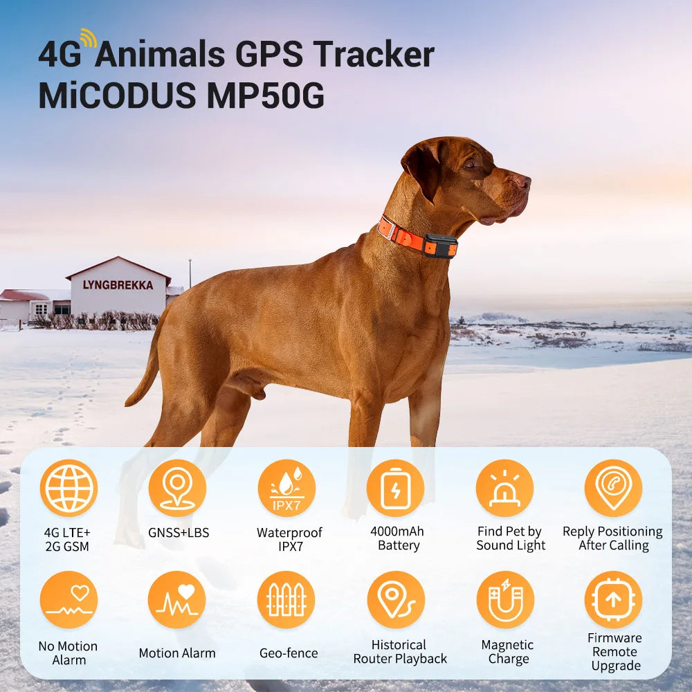 Smart 4G GPS Tracker with Electronic Fence, GPRS Navigation & Historical Route Tracking